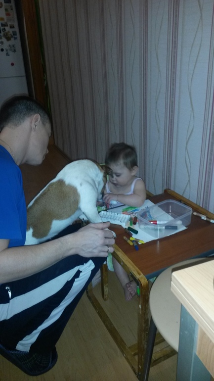 ФМ "Посуда для самых маленьких" день первый.