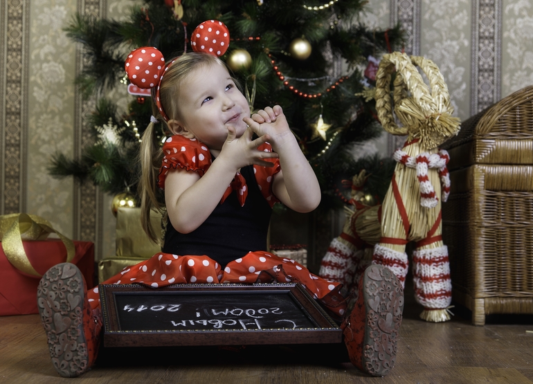 Моя новогодняя МИННИ