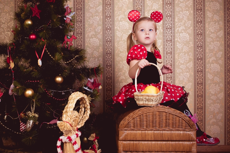 Моя новогодняя МИННИ