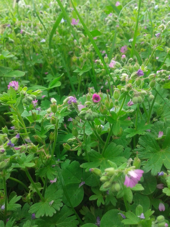 Чуть -чуть фоток