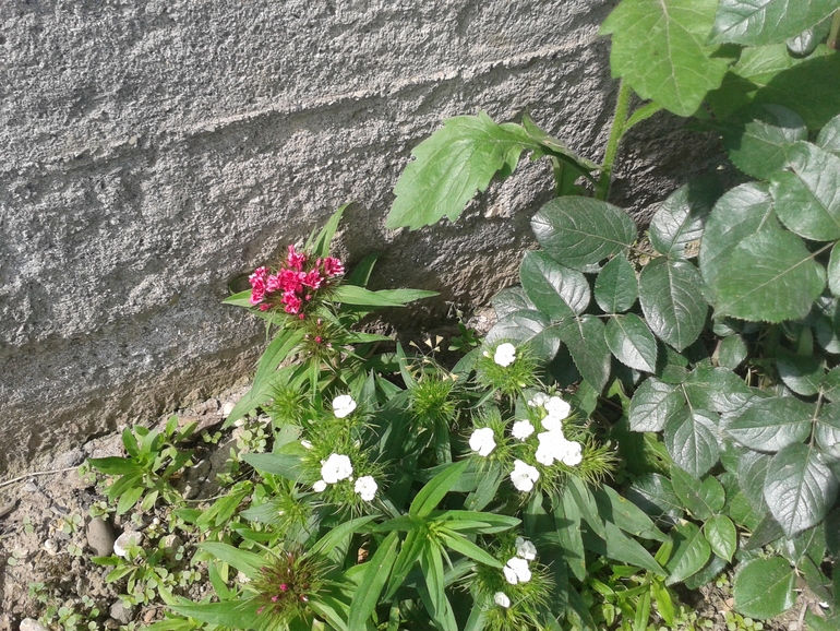 Чуть -чуть фоток