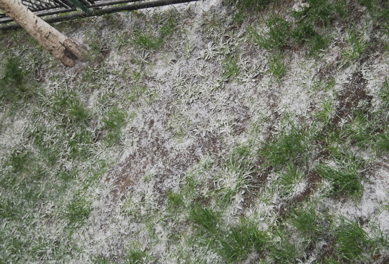 Утро нашего дня...