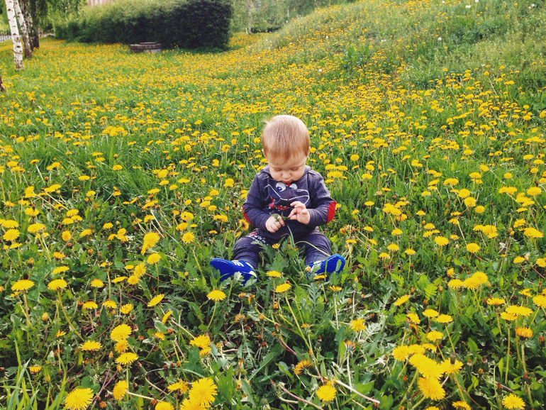 Прекрасная весна!!!