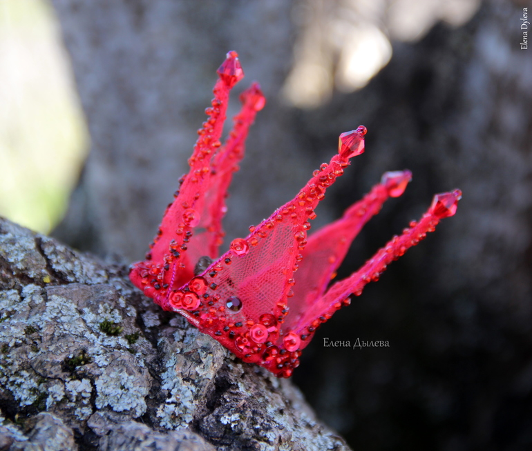 Короны (из новенького)