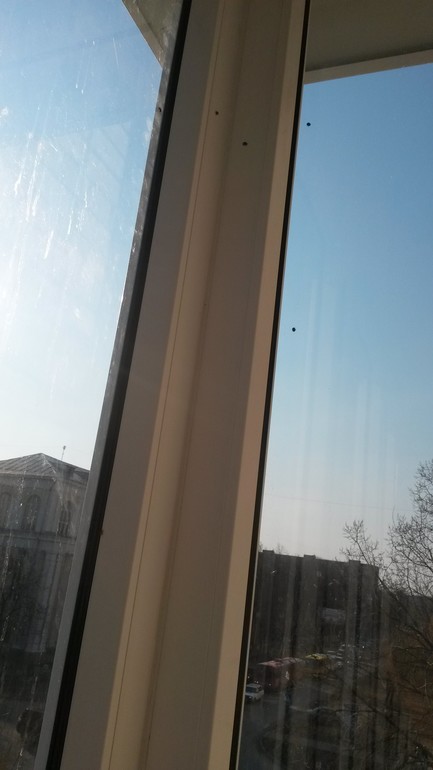 Нашествие божьих коровок.