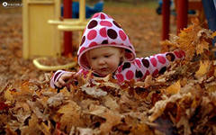 Дорогие хочушки разбираем счастье!