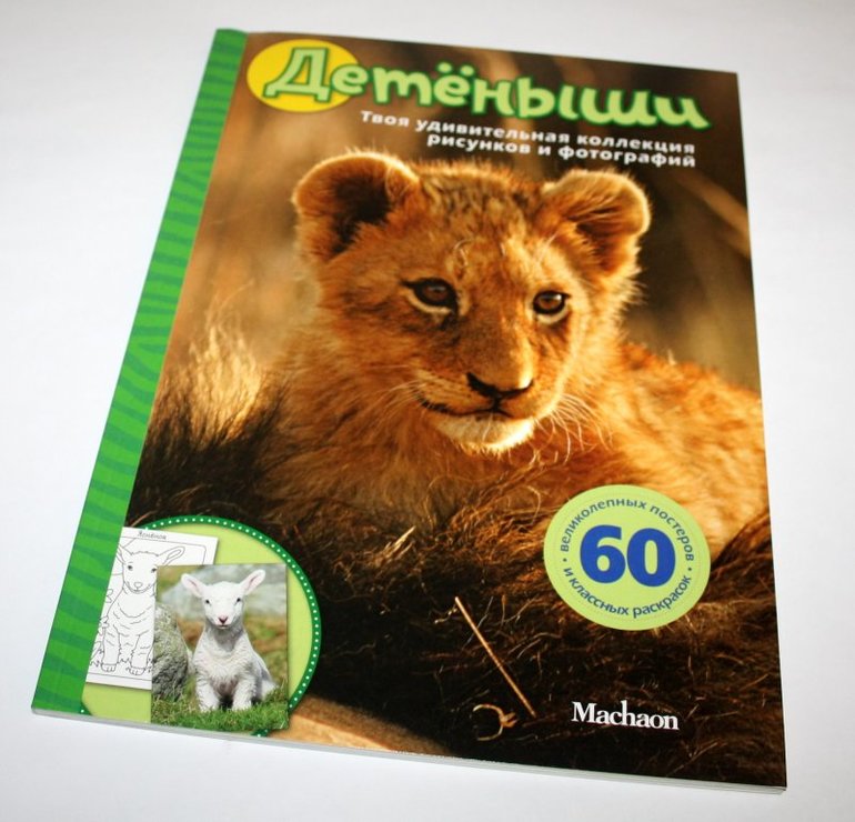 наше пополнение 2014