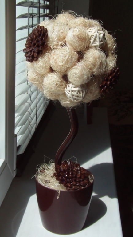 Мои кофейные деревья