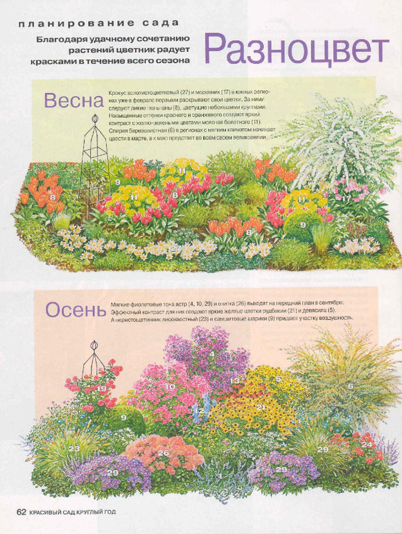 Цветник из многолетников своими руками пошагово Цветник из многолетников своими руками пошагово