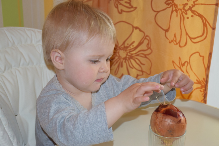 ТН "Как растут овощи"день 3