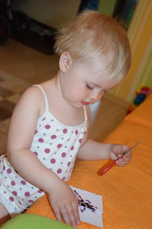 ТД Муха-цокотуха