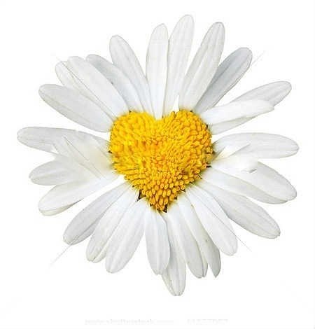 Сердечно благодарим!!!