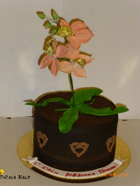 Горшочек с орхидеями!