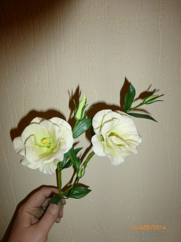 Очередные цветы с курсов Жанны Рябковой,спасибо всем девочкам за доброжелательную обстановку!Прошу вниманию МАК и ЛИЗИАНТУС