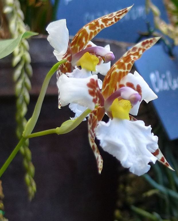 Кто куда? Кусочек лета посреди морозной зимы