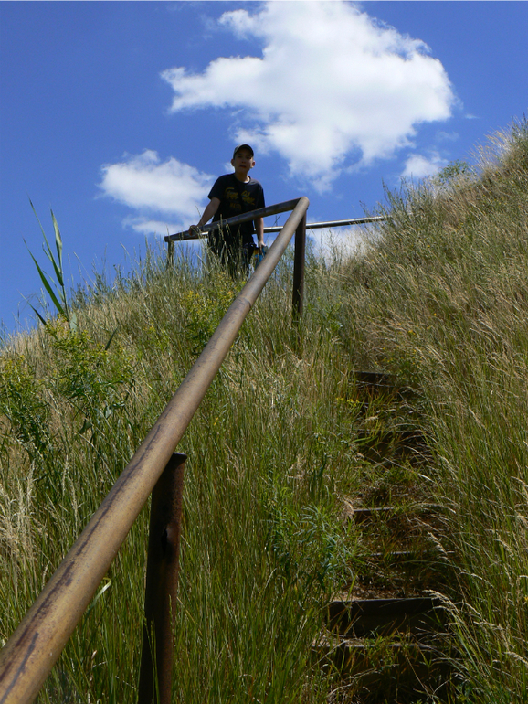 Мишка и Альтаир.