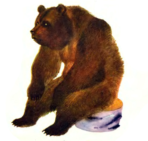 Пост для отчетов по ТЗ "Маша и медведь" (Проект "Читаем и играем")