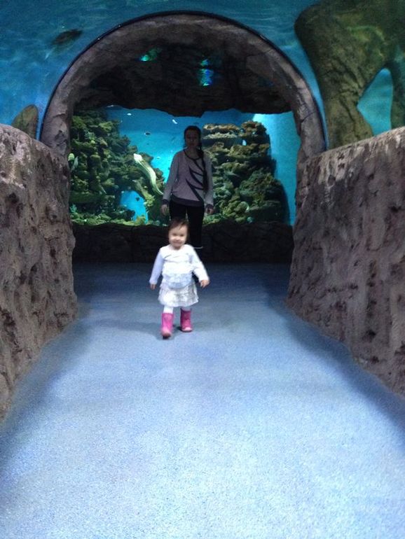 Первая поездка в океанариум.