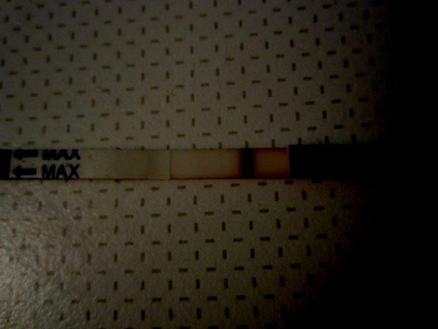 теперь я уверена-ляли в мне нет(((((((((((((((((((