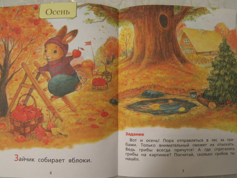 Зайкина книжка