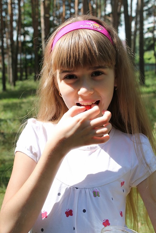 Сосновый парк и земляника 04.07.14