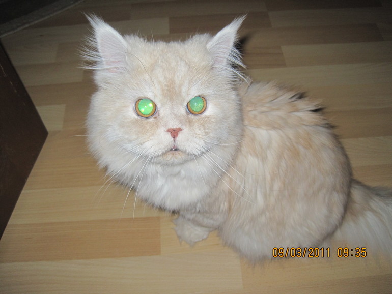 А вот мой красавец мужчина!!!