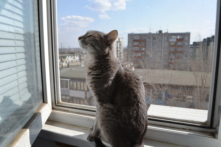 Балкон