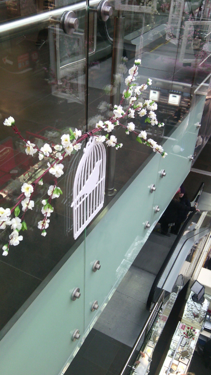 Торгушка цветет