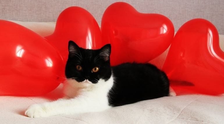 моя маленькая валентинка))