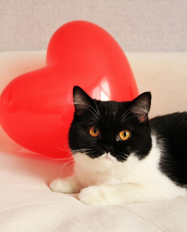 моя маленькая валентинка))