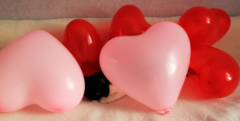 моя маленькая валентинка))