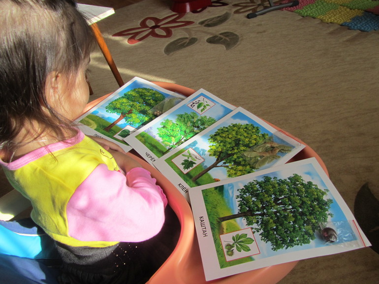 ТЗ "Деревья"