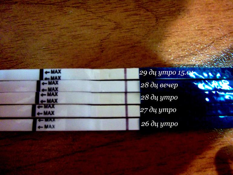 Кругом сплошной обман