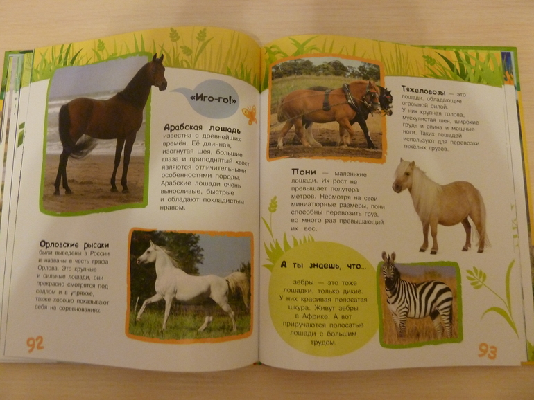 А началось все с курочки рябы;)