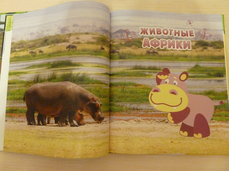 А началось все с курочки рябы;)