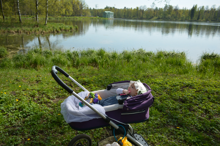 5 мес и 12 дней