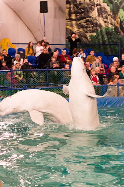 Морское в Екатеринбурге.