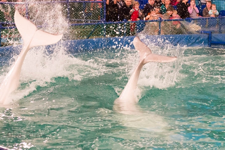 Морское в Екатеринбурге.