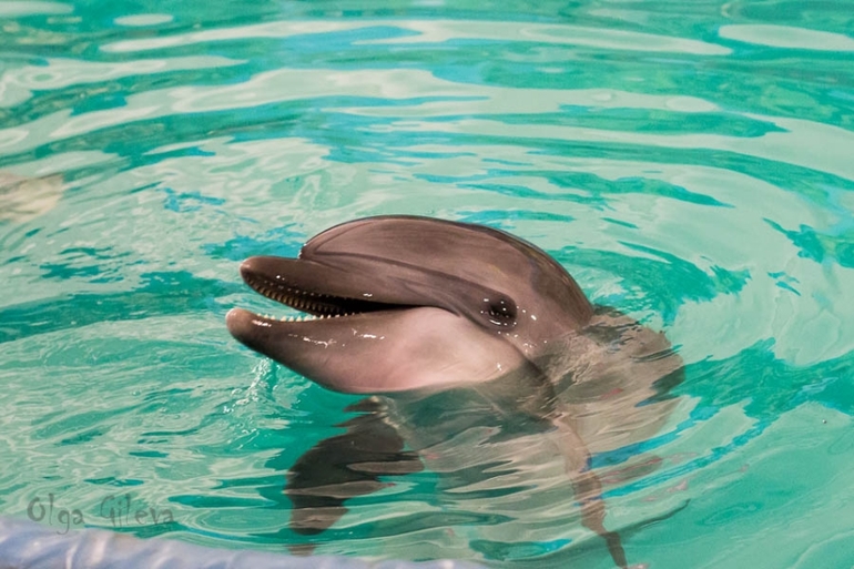 Морское в Екатеринбурге.