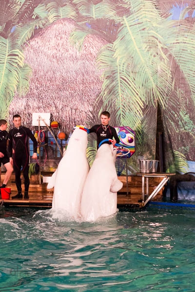 Морское в Екатеринбурге.