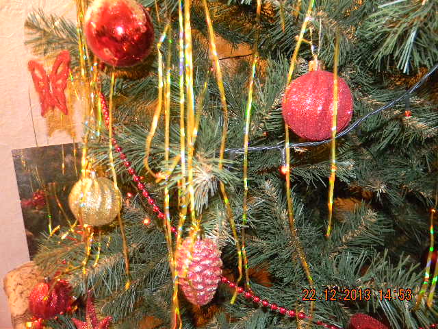 ЁЛКА-ЁЛКА!!!!!!