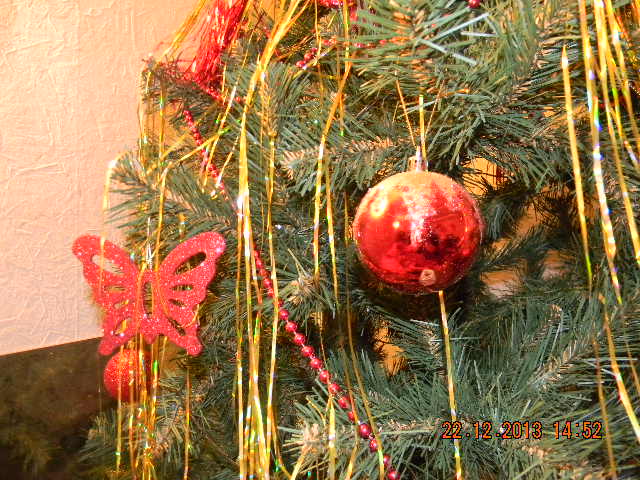 ЁЛКА-ЁЛКА!!!!!!