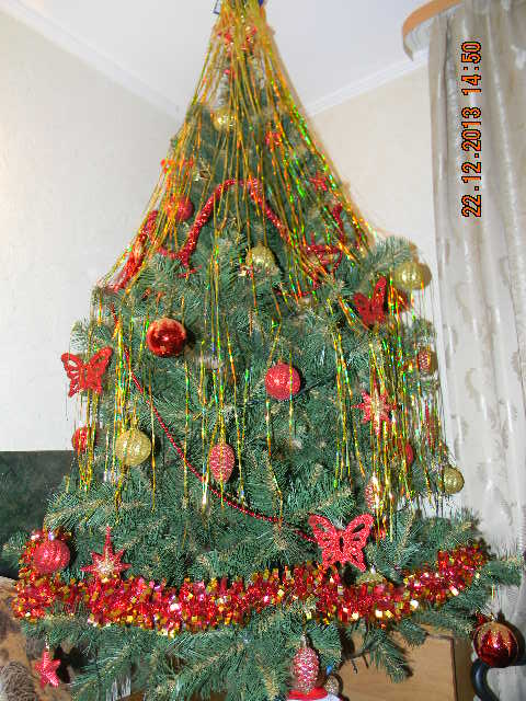 ЁЛКА-ЁЛКА!!!!!!