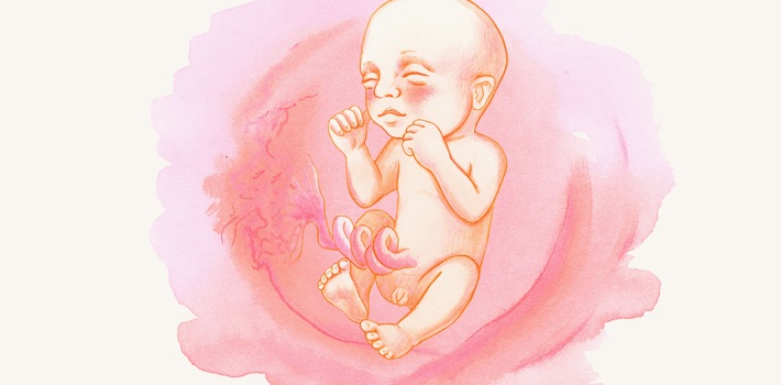 Как растет живот во время беременности: нормы и график | Роды в Москве | Дзен