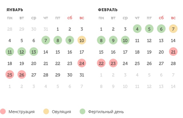 Калькулятор овуляции