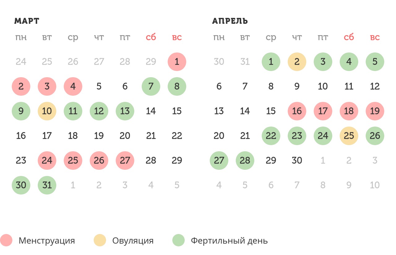 Калькулятор овуляции