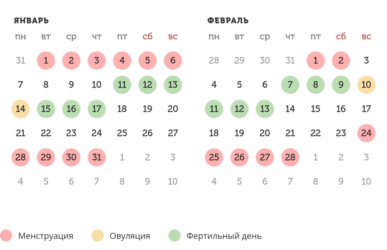 Калькулятор овуляции