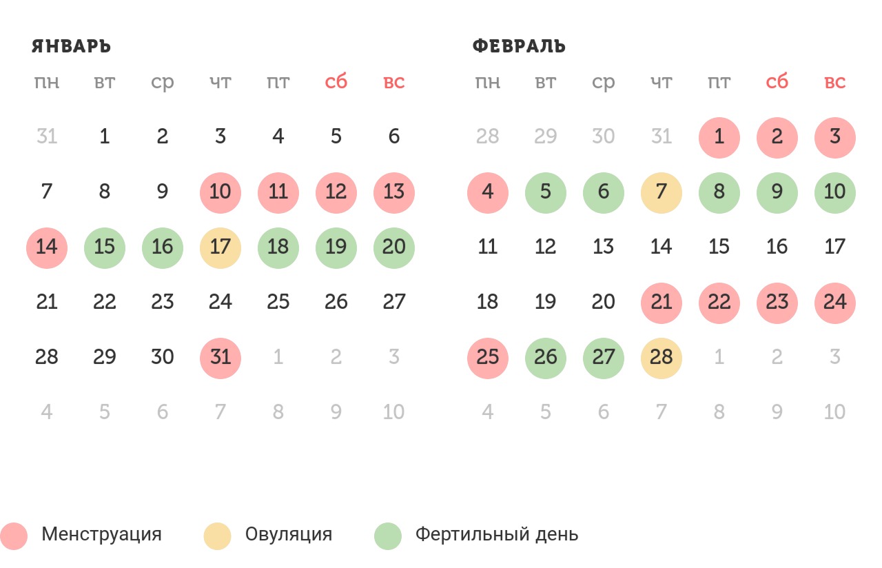Калькулятор овуляции