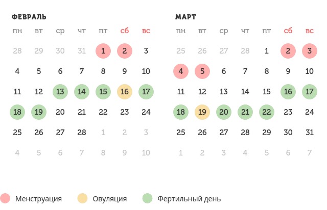 Калькулятор овуляции
