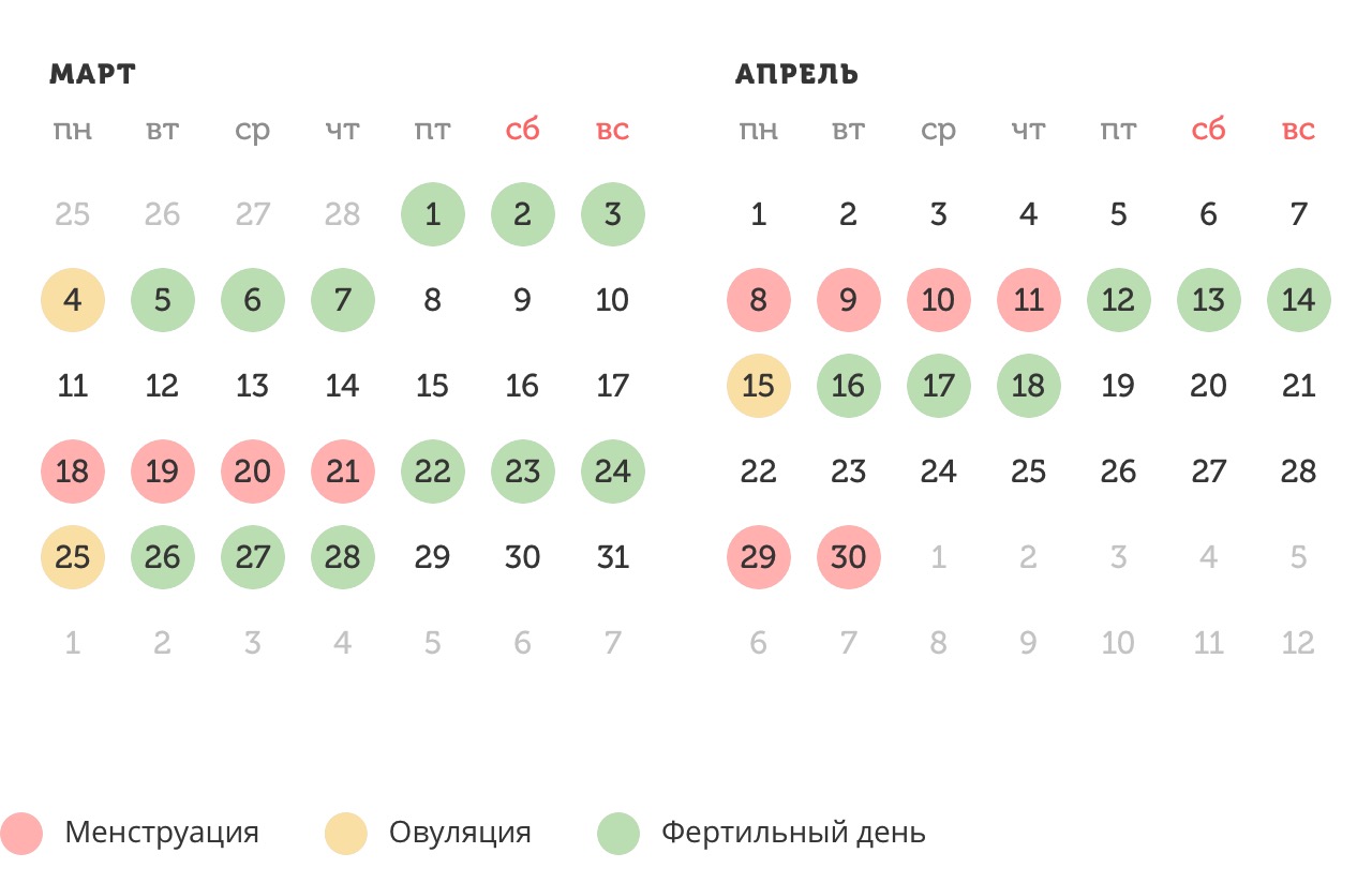 Калькулятор овуляции